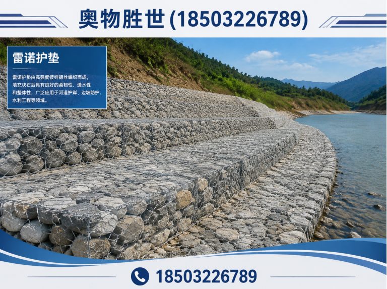 石家庄雷诺护垫展示图